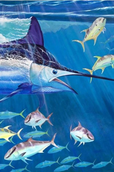 Ocean Acidification - Jessica Harveys Expedition Notebook-2024