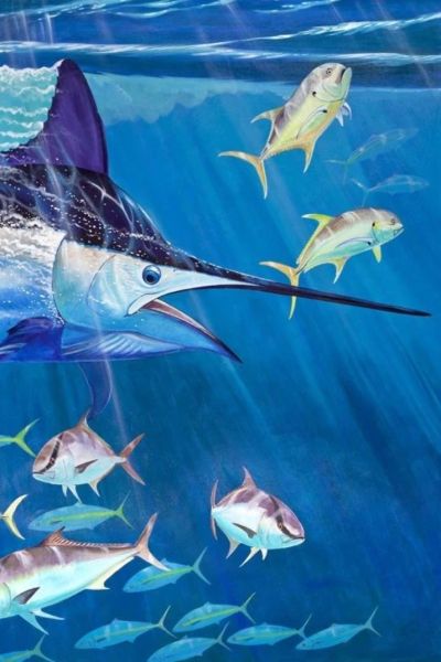 White Shark - Jessica Harveys Expedition Notebook-2024